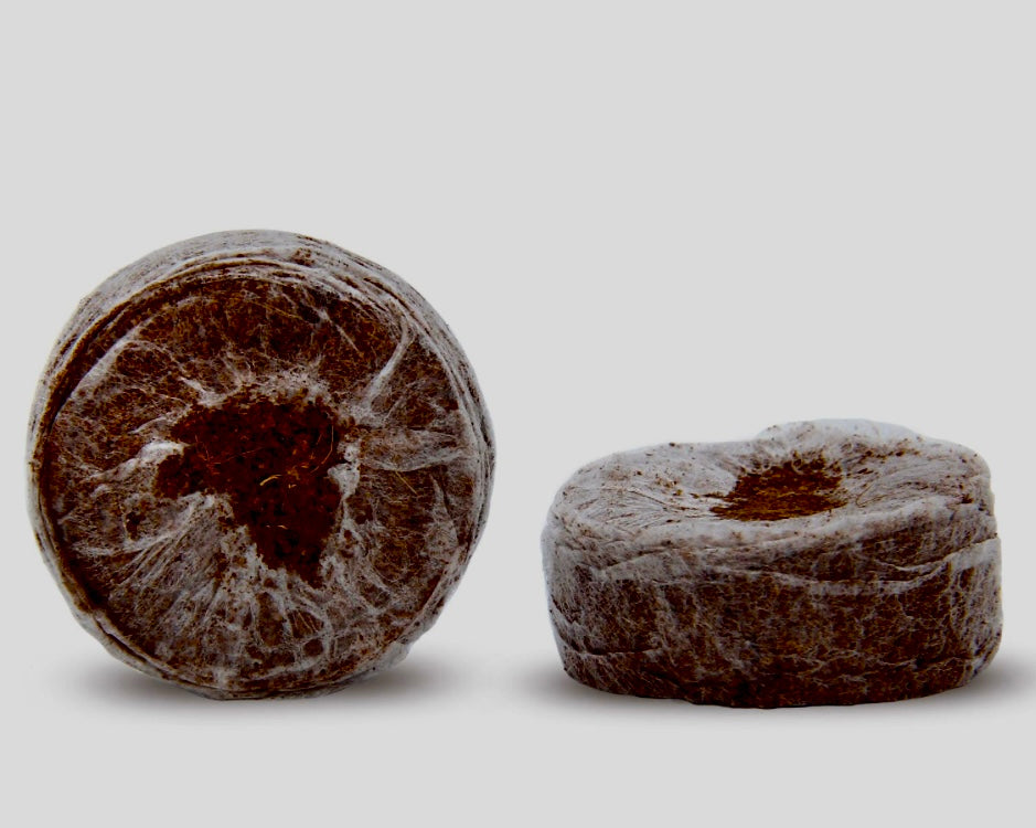 Jiffy 7C Kokos Quelltopf 36mm torffrei | RHP zertifiziert | Stecklinge Samen Anzucht