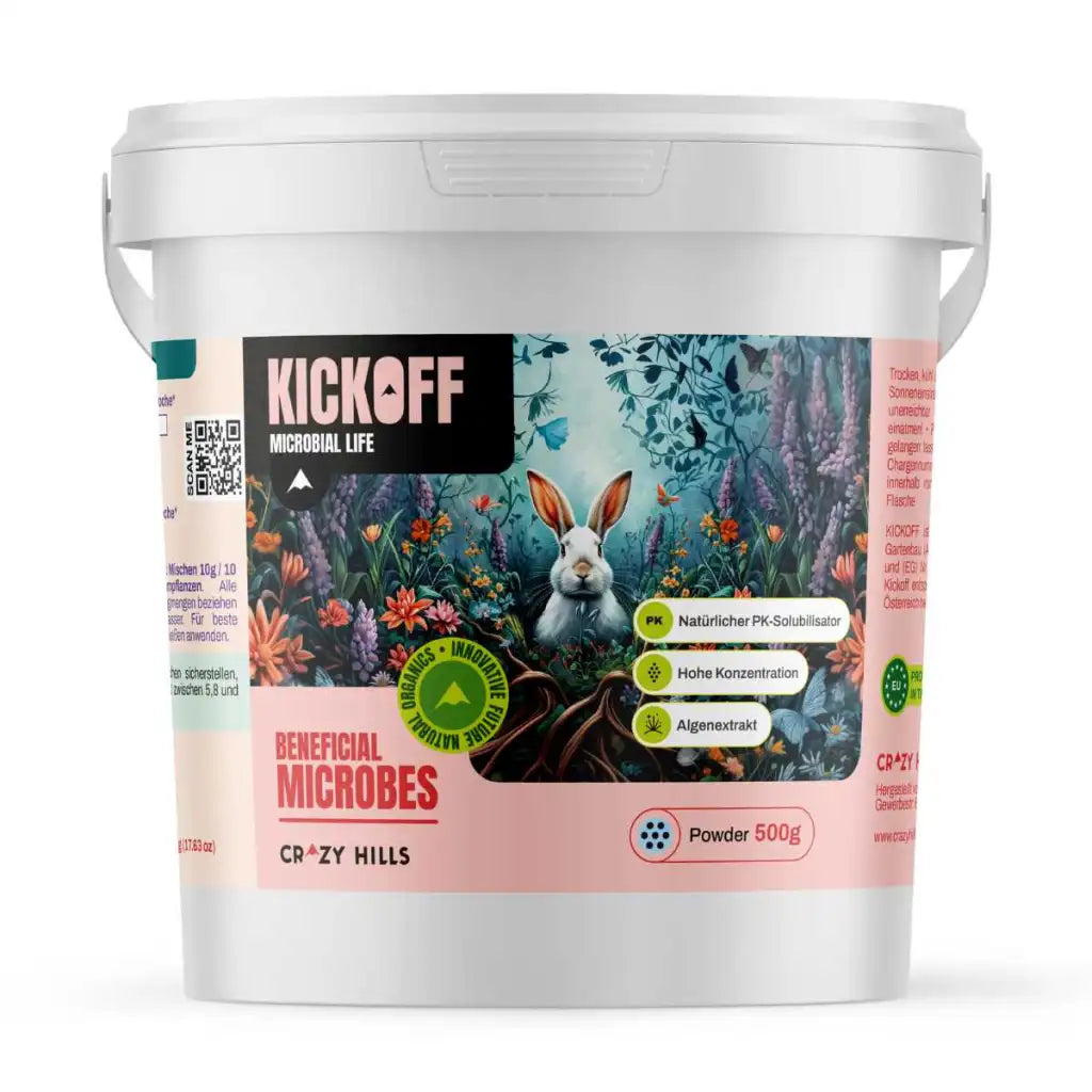 Crazy Hills | Kickoff