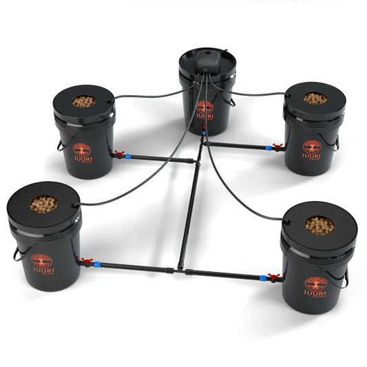 Juuri Grow Nano – DWC Hydroponik-System mit 4 Töpfen & Air-Stones