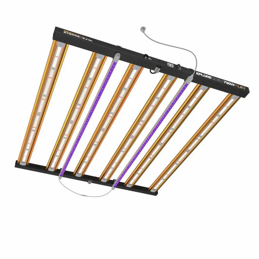 Dimlux Xplore 730 Watt 2.7 | LED Grow Lampe | 1978 μmol/s