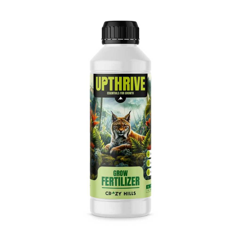 Crazy Hills | Upthrive