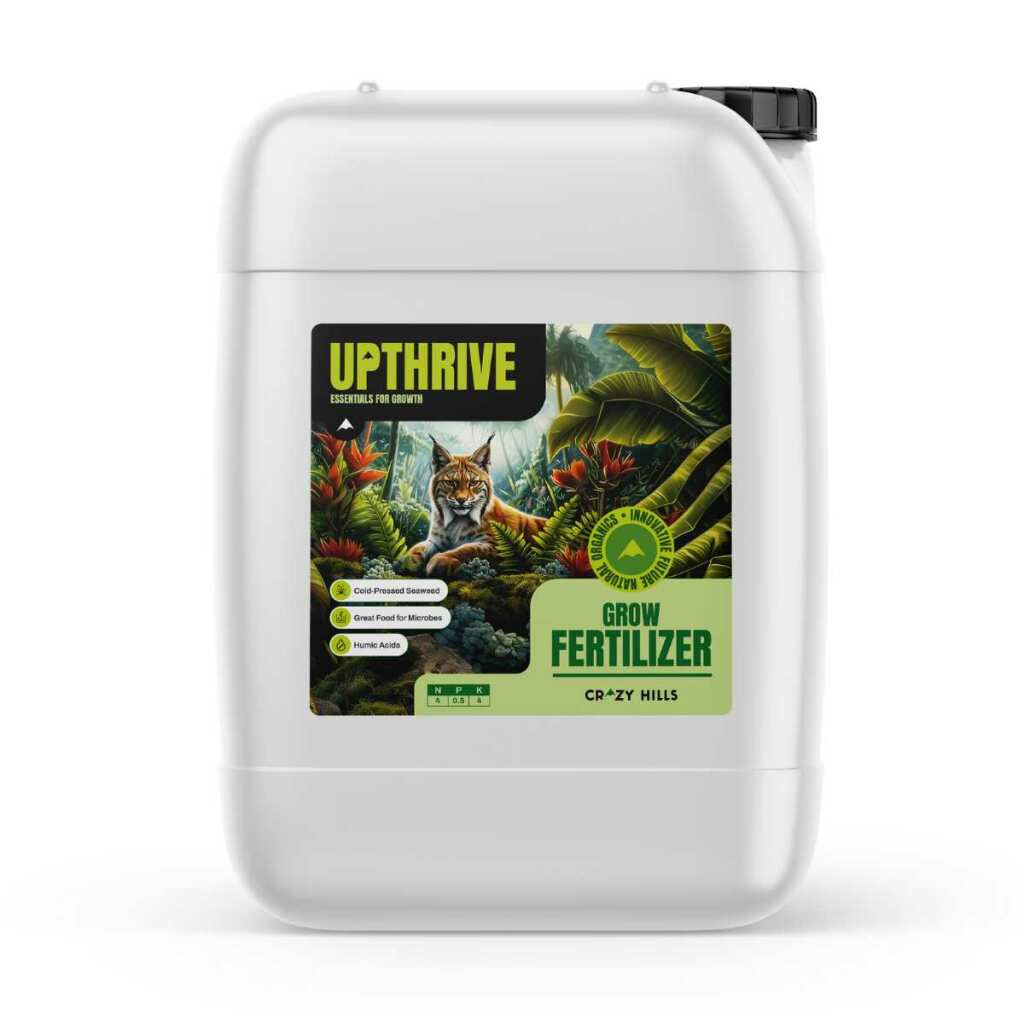 Crazy Hills | Upthrive